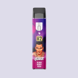 Gzuz H2 Vape Pen 95 Blackberry Kush