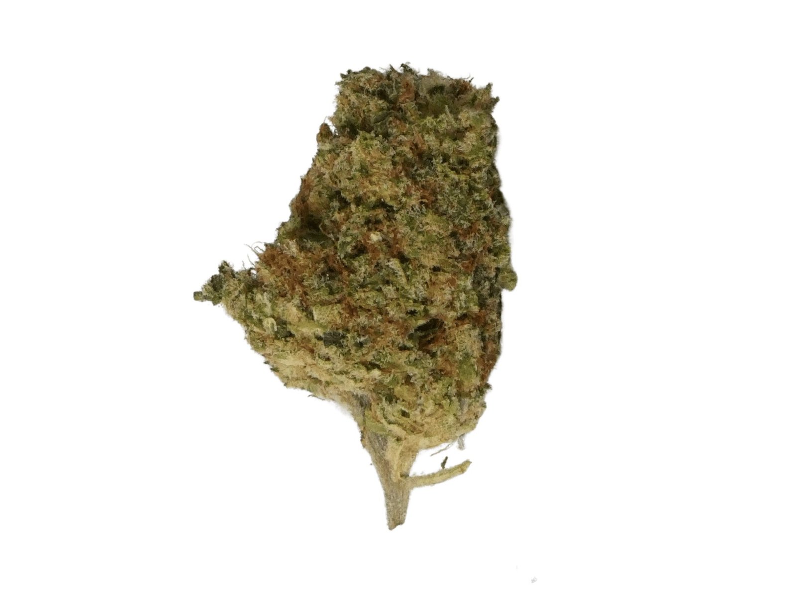 HHC Orangello 30 flower