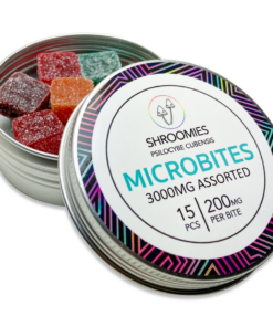 Shroomies – Mikrodosis-Häppchen